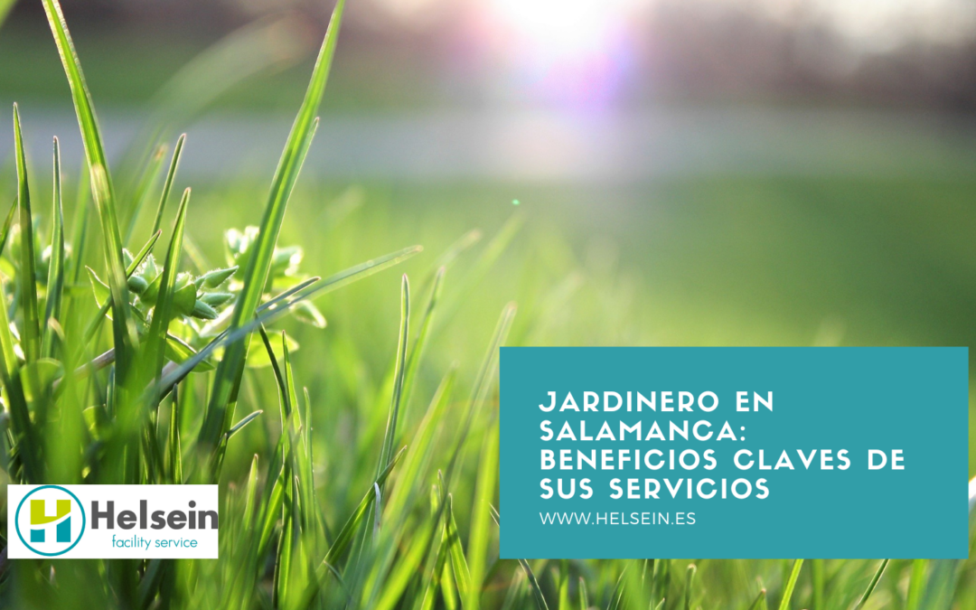 Jardinero en Salamanca: beneficios claves de sus servicios